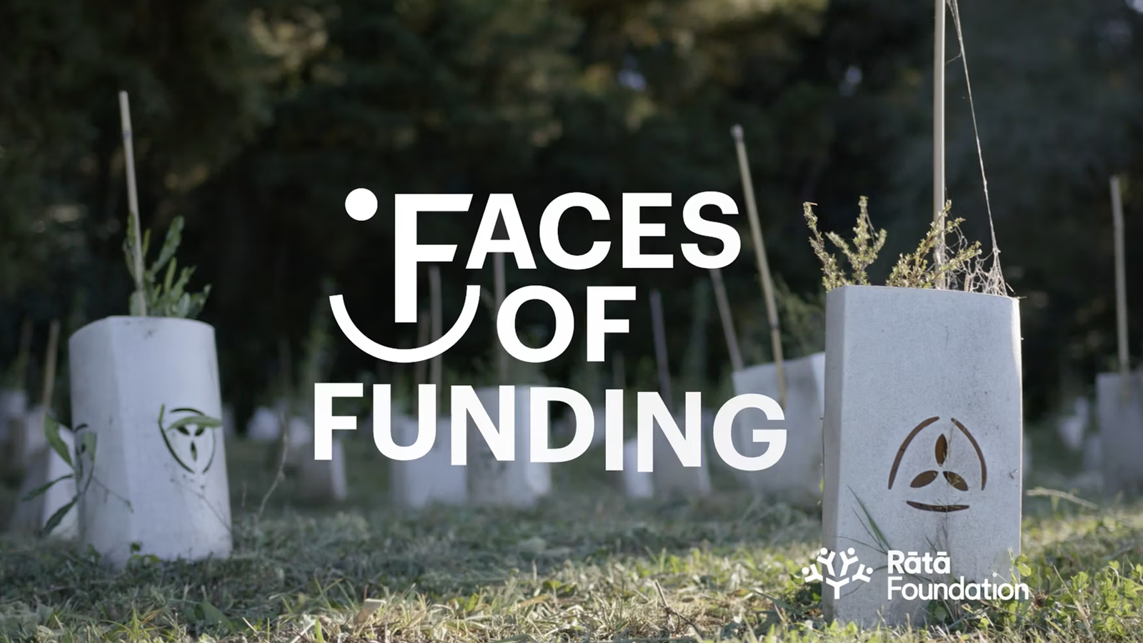 Best Possible Landscape Scale Conservation Outcomes For Te Tauihu Image