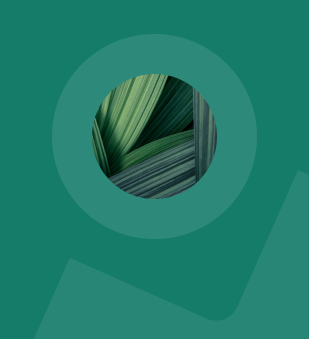 close up image of woven flax