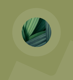 Close up image of woven flax